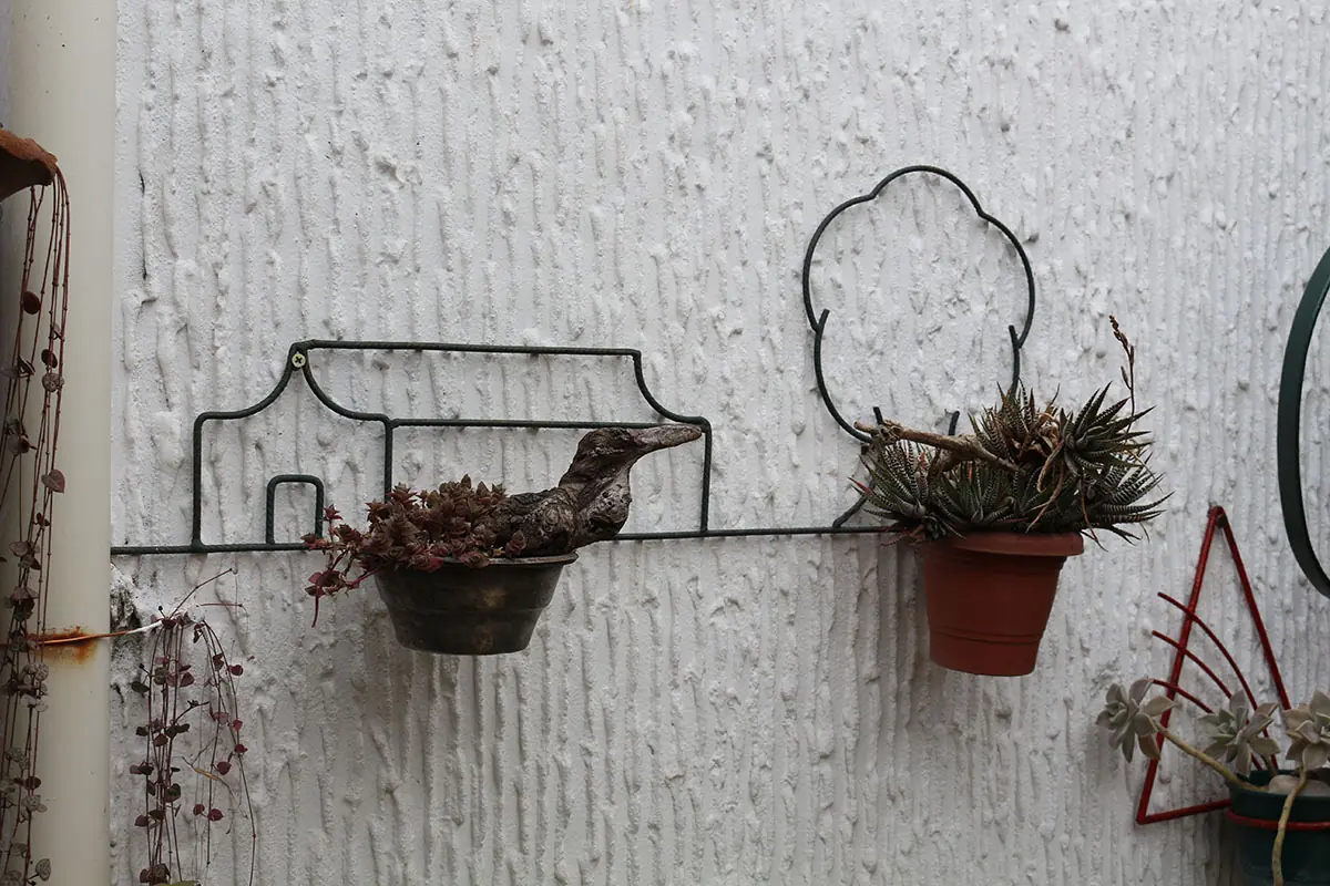 jardin colgante