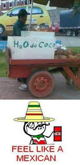 estúpidos