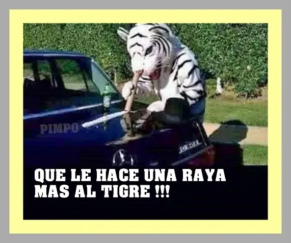 HUmOr 56y mas cosas + YaPa