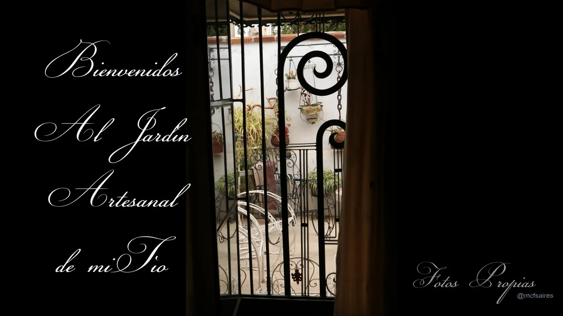 Jardin