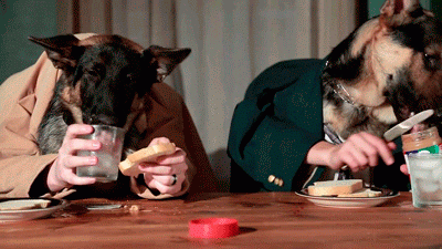 estos gif