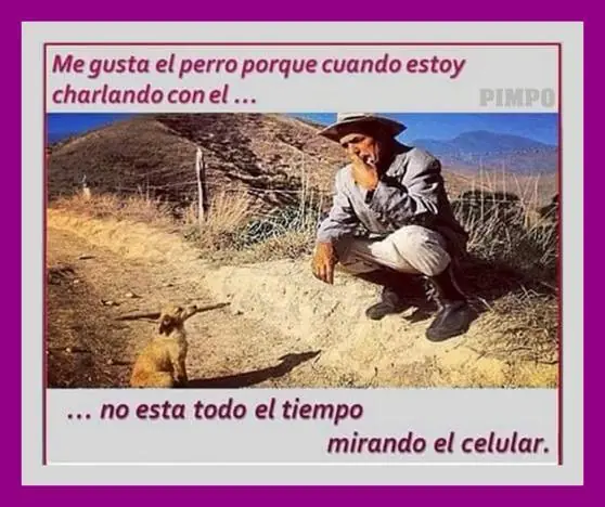 HUmOr 56y mas cosas + YaPa
