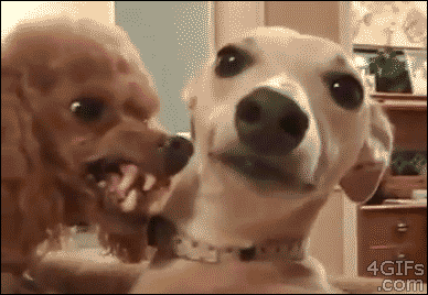 estos gif