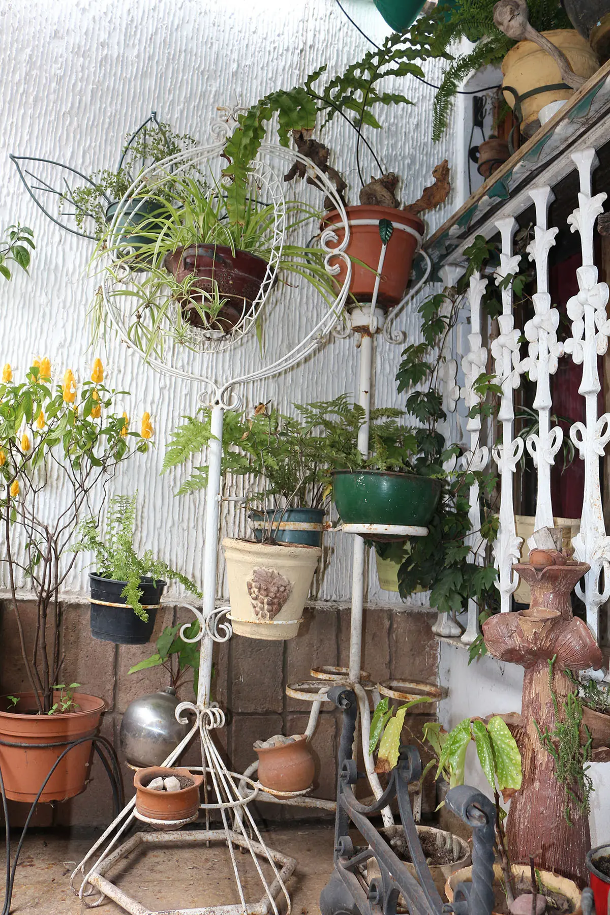 Jardin