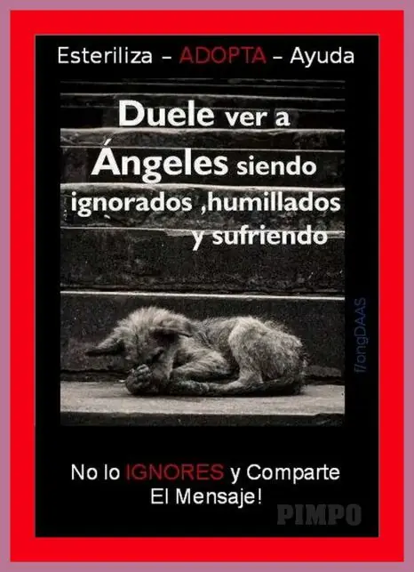 HUmOr 56y mas cosas + YaPa