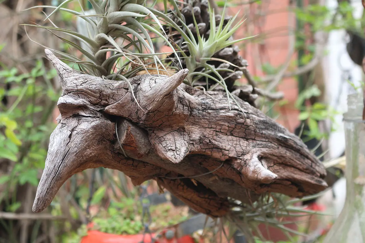 jardin colgante