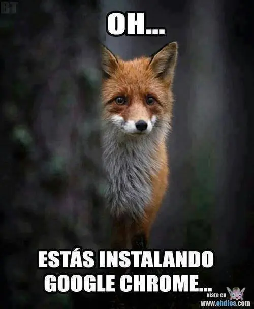 imagenes para Whatsapp