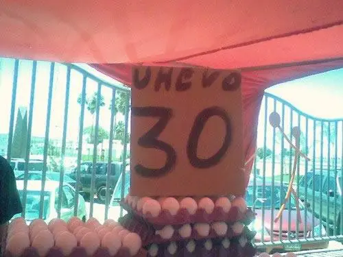 estúpidos
