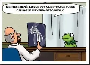 para reir un buen rato si te atrebes pasa (imagenes