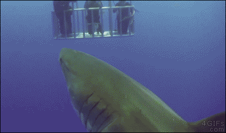 Gifs Graciosos Para Pasar Un Rato (+yapa)