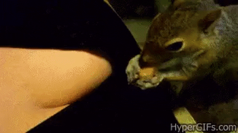 ¿Desvelándote? riete un rato con estos GIF