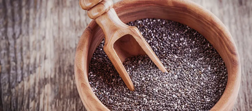 recetas de chia
