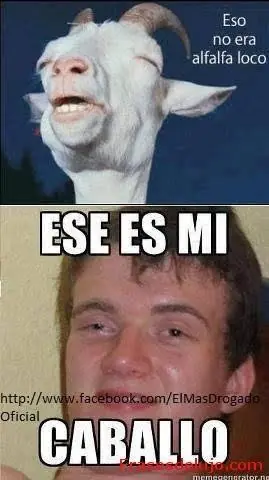 Imágenes graciosas (y una que otra rara)