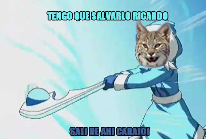 Taringa