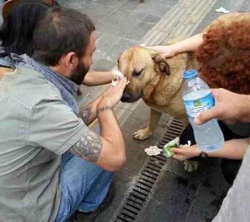 felicidad felicidad