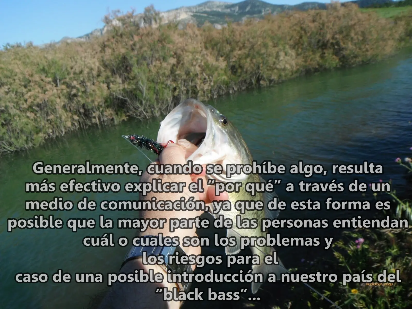El Black Bass y su prohibicion en Argentina