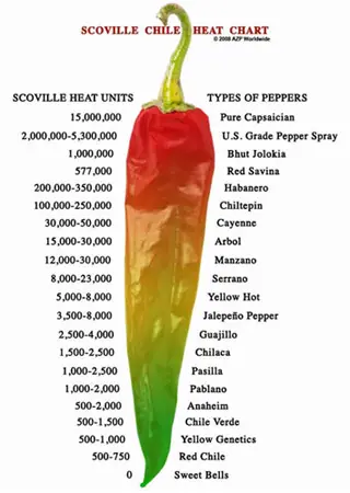 jalapeno