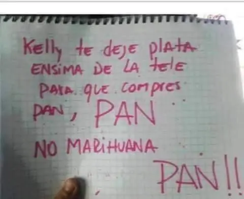 fotos