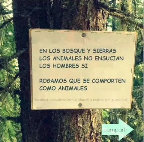 honestos