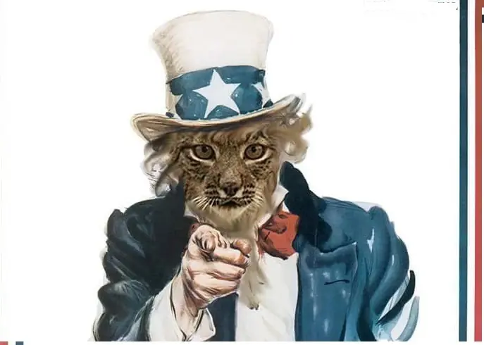 Britanicos Atacaron Facebook de Malvinas ¿Represalia Lince?