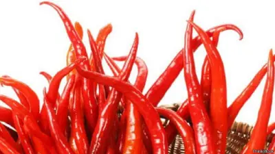 picante