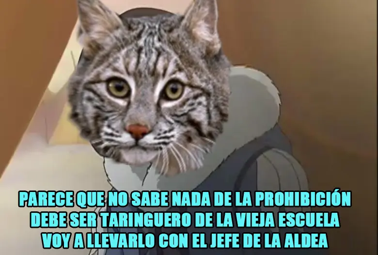 Taringa
