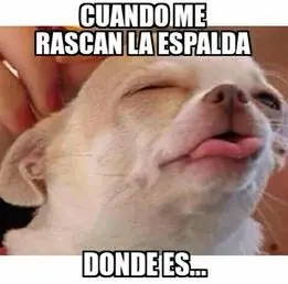 semana