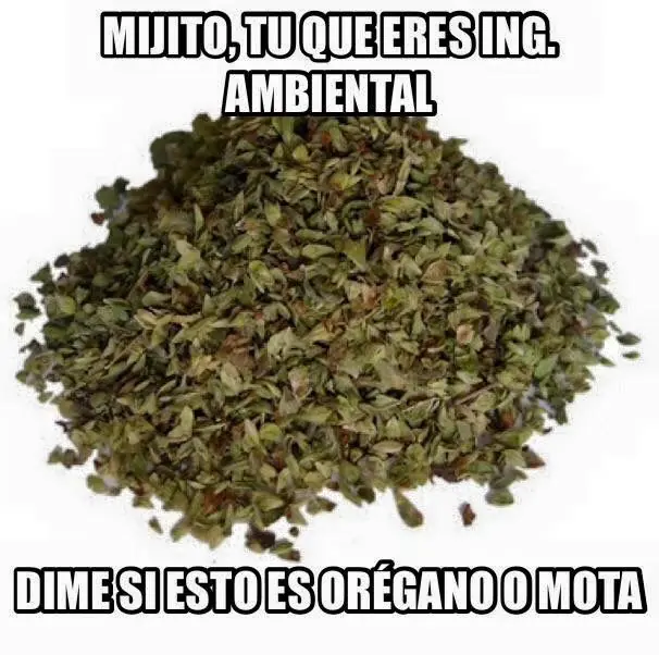 risas