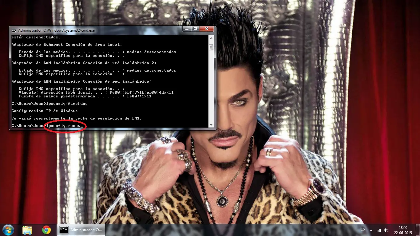 ipconfig