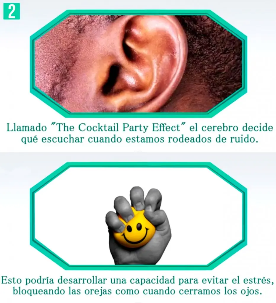 evolucion
