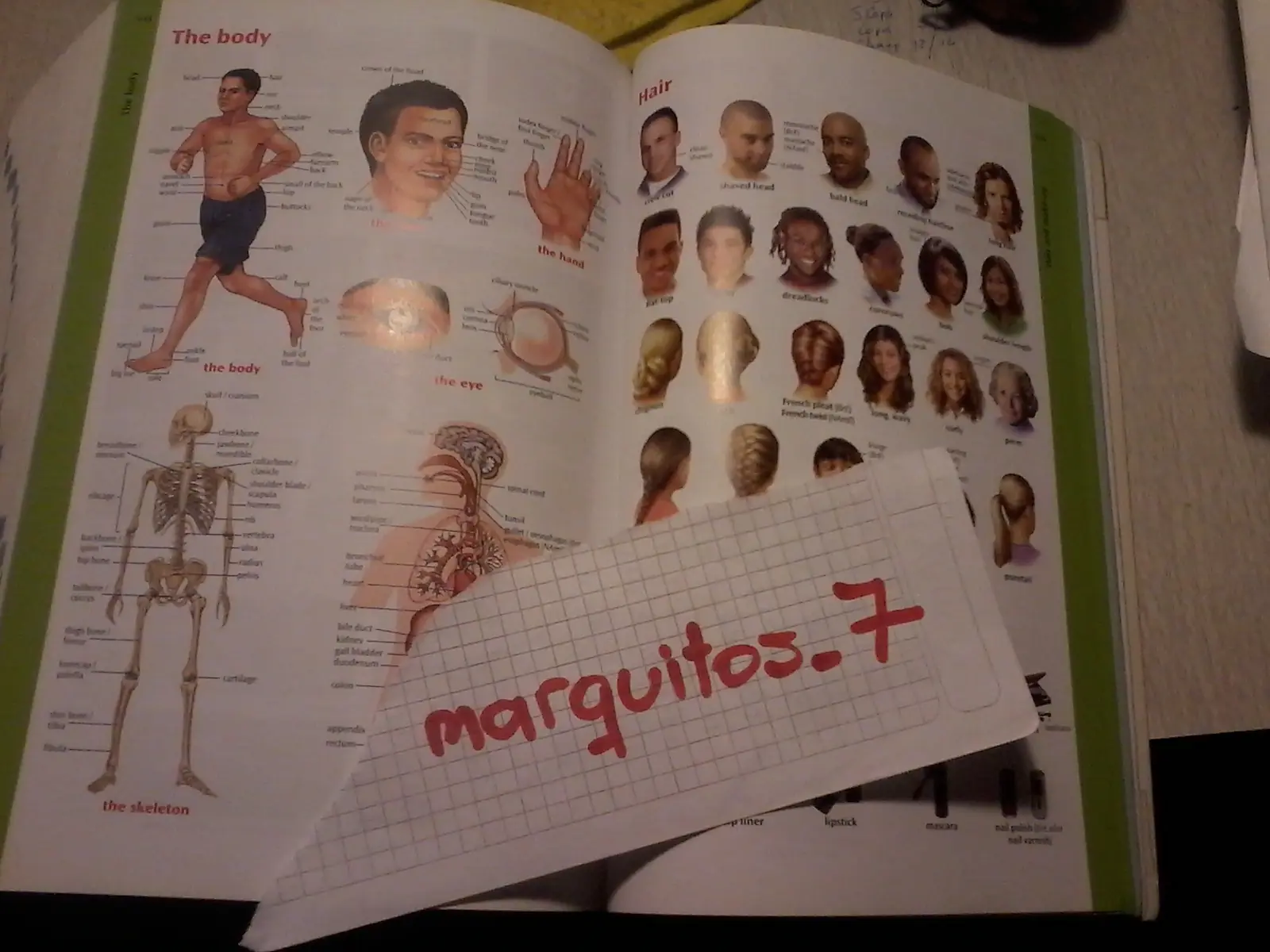 dictionary