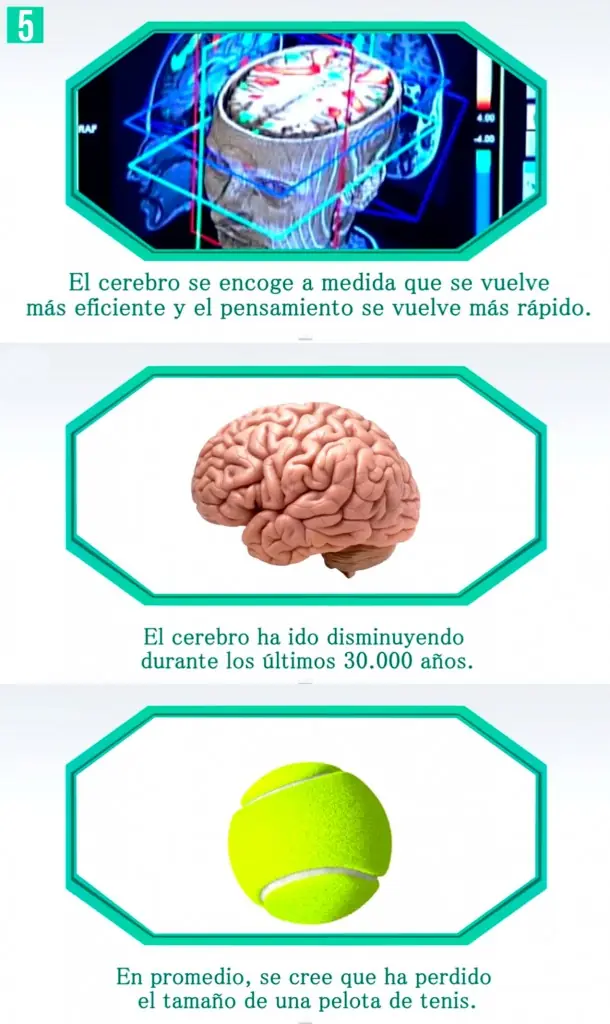 humanos