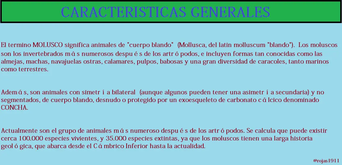 conozcamos los moluscos