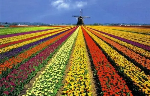 paisajes