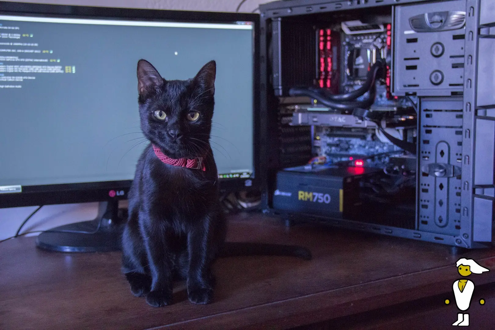nvidia
