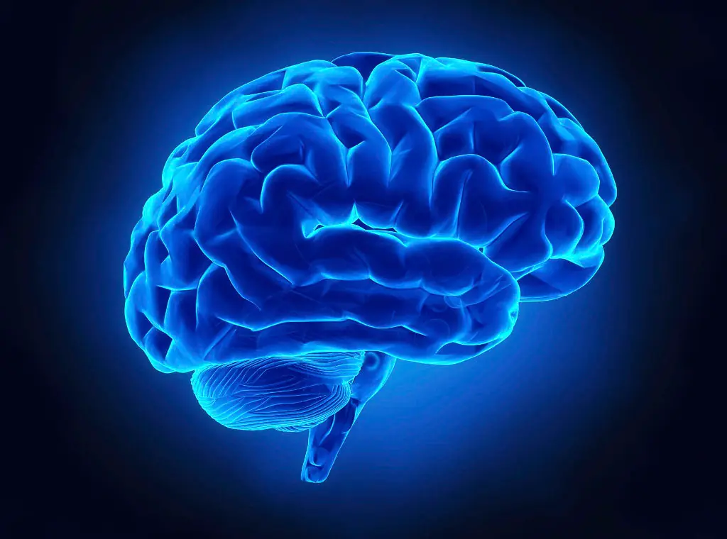 Nueva ecuación para calcular la inteligencia!