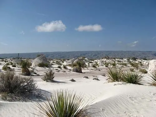Coahuila Coahuila