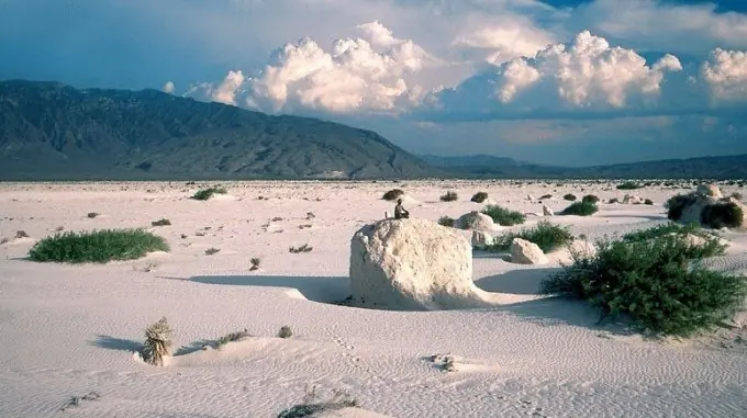 selva lacandona selva lacandona