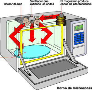 ¿Usas Microondas? [Lo Que Debes Saber]