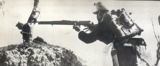 fusil mondragon