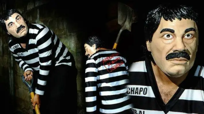 chapo