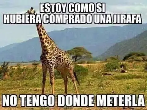 memes graciosos