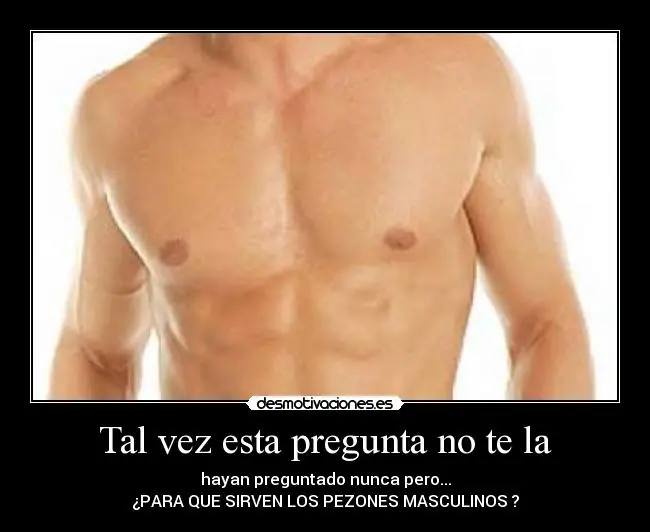 cuerpo