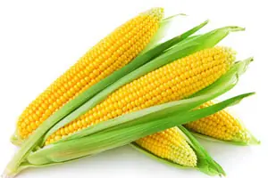billetera