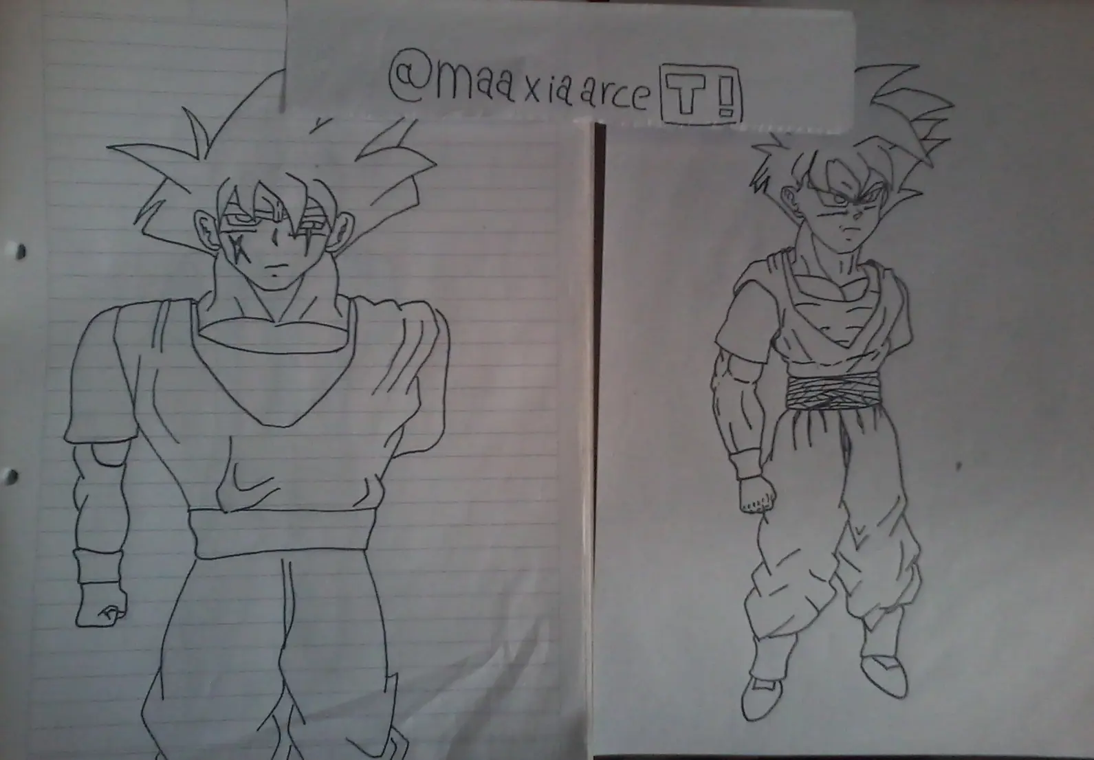 gohan