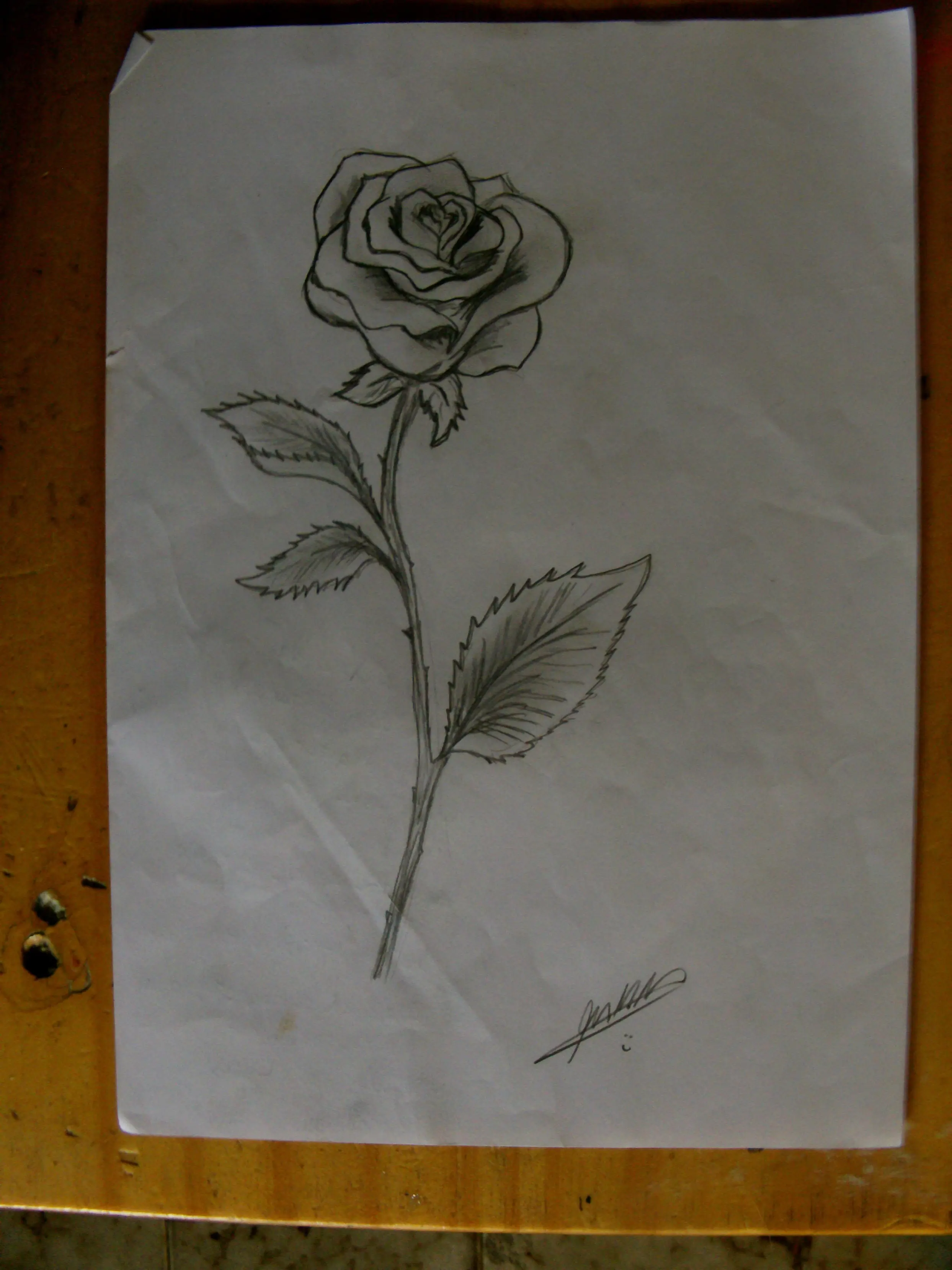 dibujos a mano