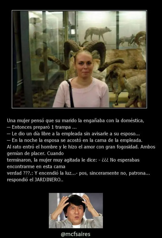 Seguro que con alguna te ríes.