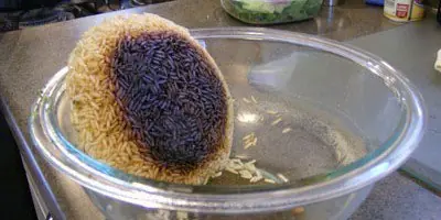 cocinar