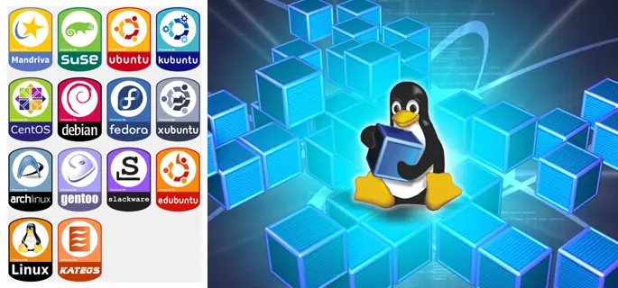 ¿Por qué elegir Linux? Ventajas y Beneficios de Linux