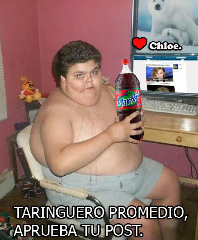 gordos